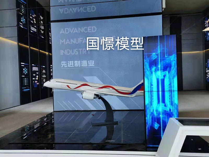 晴隆县飞机模型
